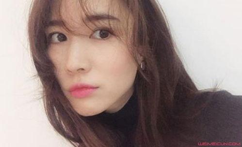 陈雅 资料,探寻艺术与生活的交融之美